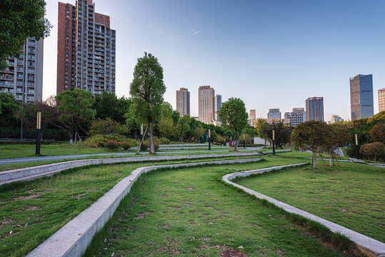 公园草地步道景观风光