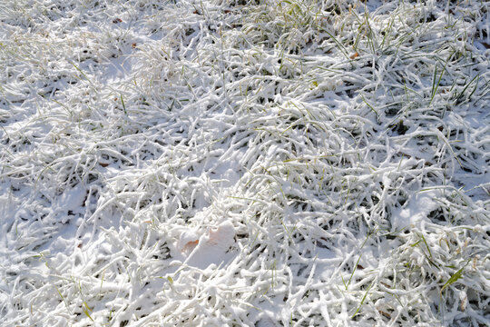 冬雪