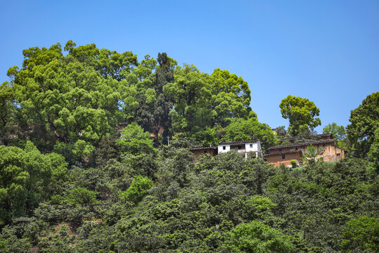 新安江山水画廊