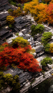 秋季古鎮(zhèn)裝飾畫