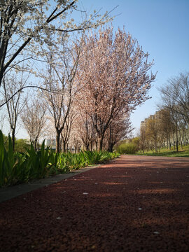 河岸风光百花路弯