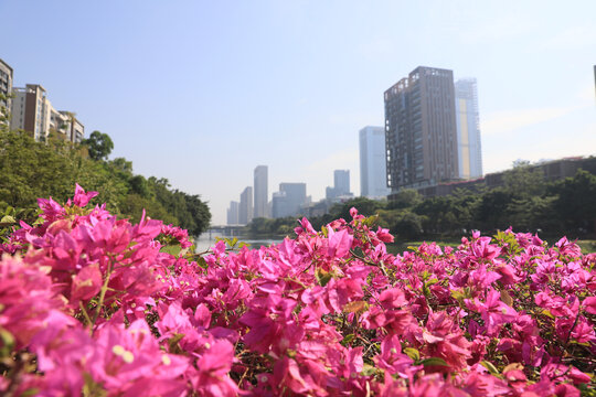 花园城市