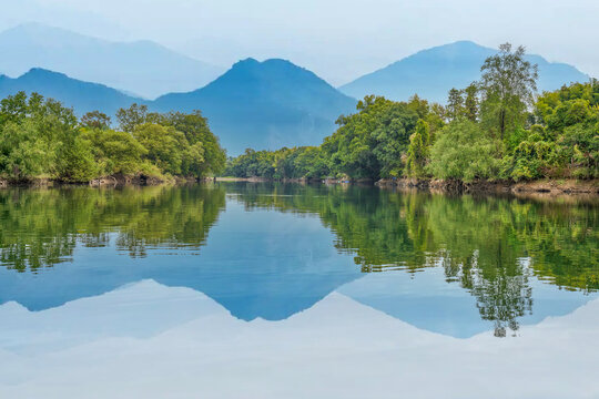 河岸树林