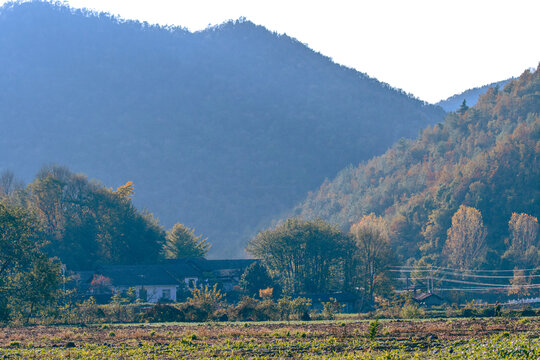 大洪山风光