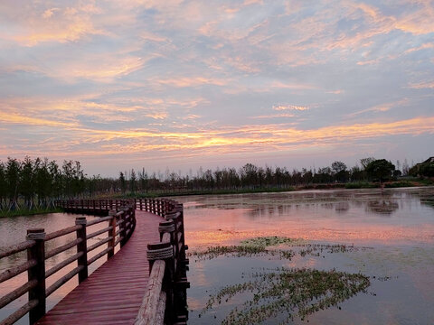 湖边晚霞木桥栈道美景