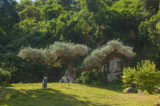 漳州七首岩寺远求园