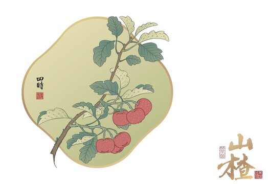 山楂圖2