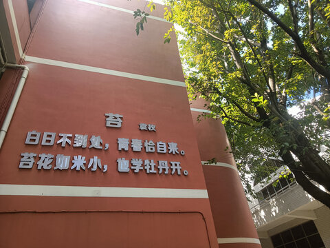 学校