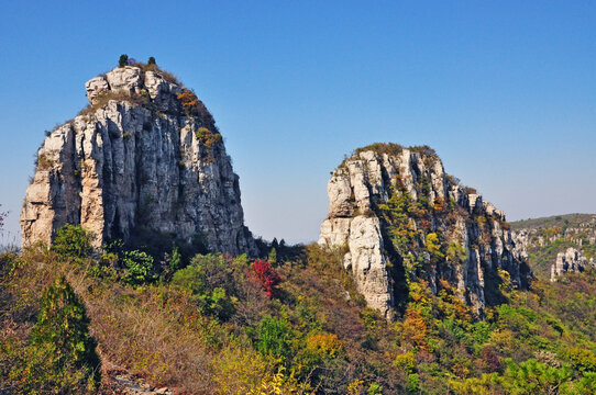 曾子山秋景