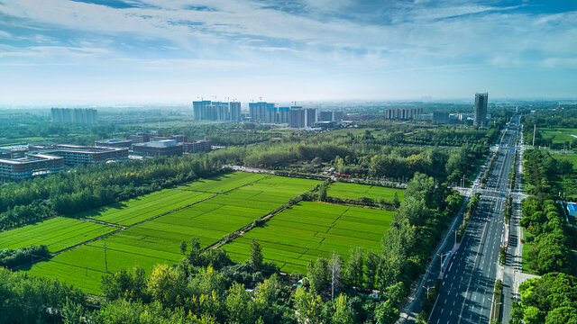 航拍城市夏日公园风景