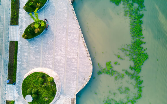 航拍城市夏日公园风景