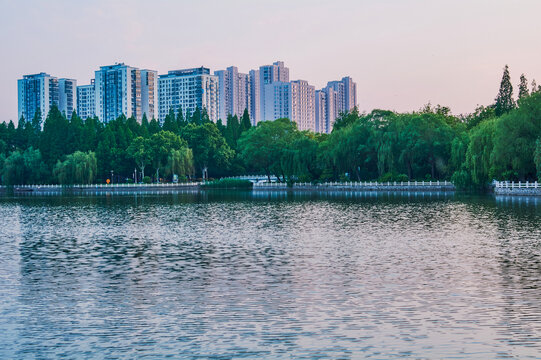 夏日清晨的城市公园