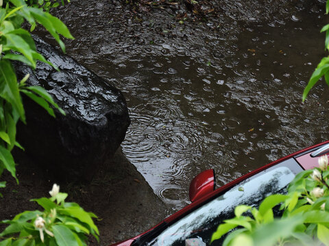 雨