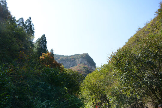 青山峡谷