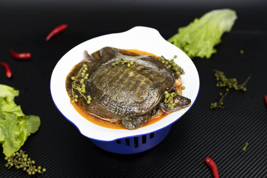紅燒甲魚