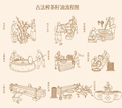 古法榨茶籽油流程圖線條