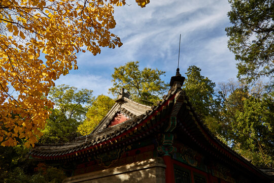 北京市香山公园秋色