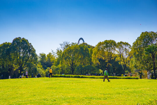 城市绿地