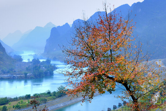 山水红枫