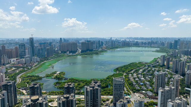 武汉沙湖全景