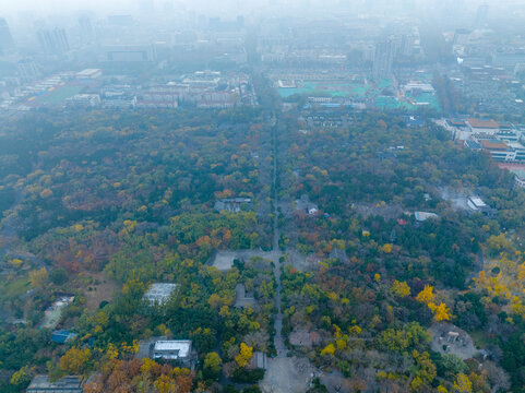 航拍济南千佛山公园