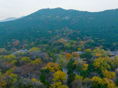 航拍济南千佛山公园