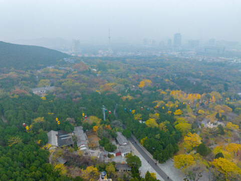 航拍济南千佛山公园