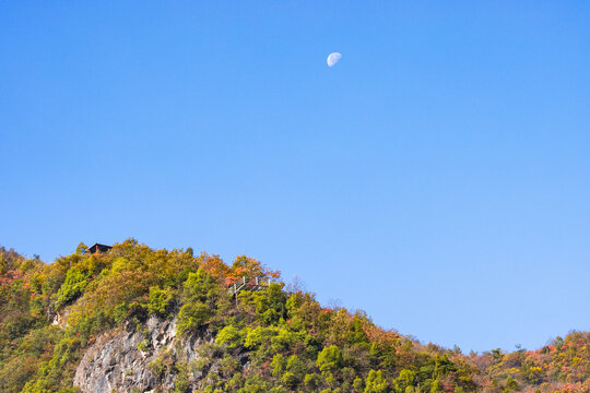 满山红叶