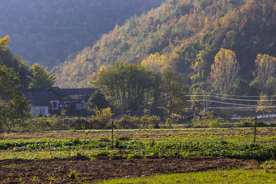 乡村风光