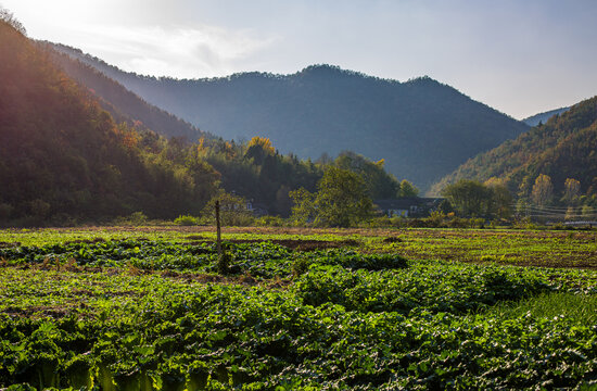 乡村风光