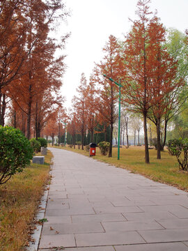 秋日公园步道