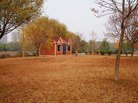 莒南鸡龙河湿地公园风光