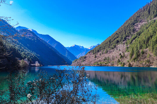 九寨沟犀牛海