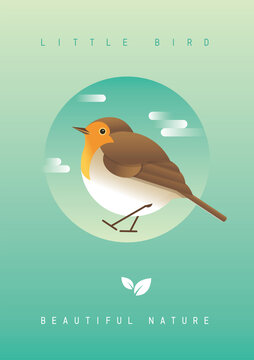 鳥類插畫羅賓鳥知更鳥漸變