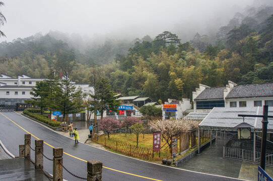 晨雾山景