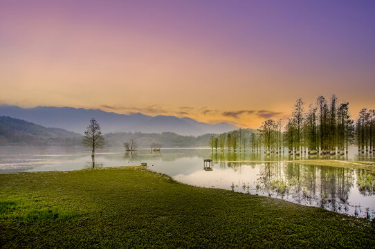 田园小景