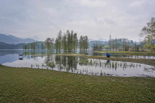 家乡美景