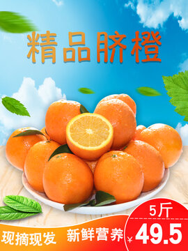 精品臍橙主圖