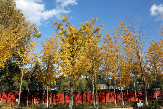 沈阳东塔永光寺