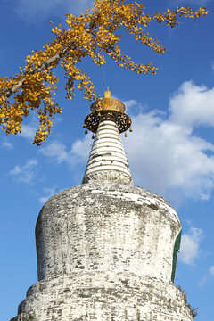 沈阳东塔永光寺