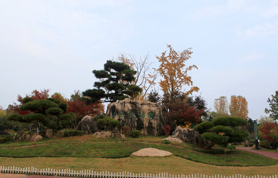 日照植物园秋景