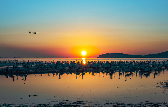 荣成天鹅湖日出