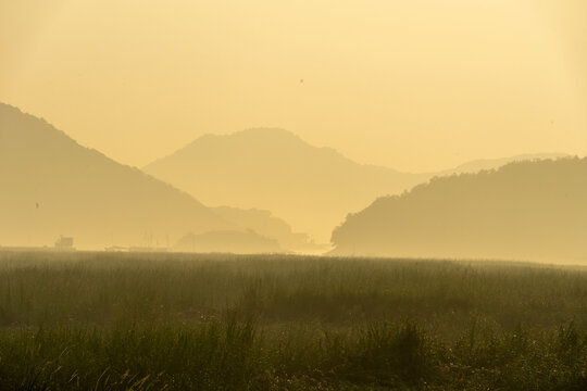 背景