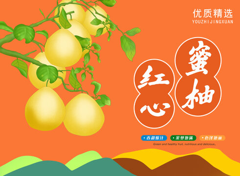 紅心蜜柚包裝插畫