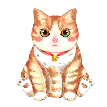 手绘水彩猫咪橘猫