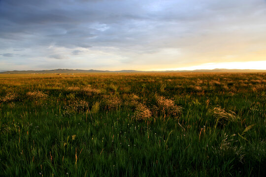 夕阳下的锡林郭勒草原