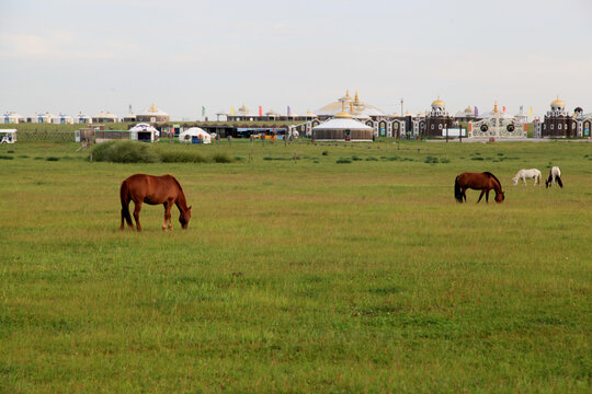 草原牧场