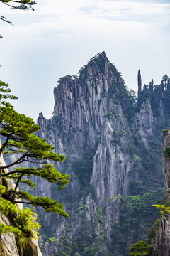 安徽黄山风景区自然风光