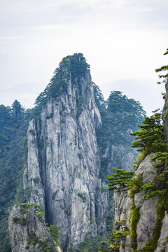 安徽黄山风景区自然风光