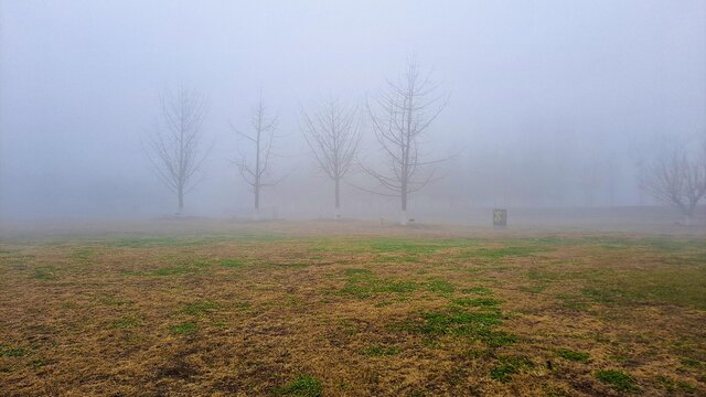 初冬的晨雾